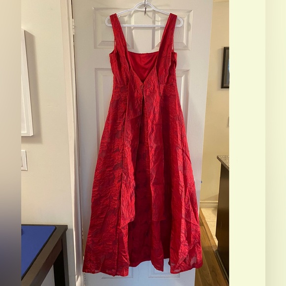 Elegant Red Textured A-Line Evening Dress - Picture 7 of 16